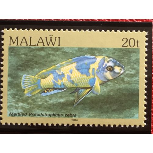 Malawi 1984 20t Marbled Zebra Mbuna Unmounted Mint NHM SG 695 Sc 434 fish stamp