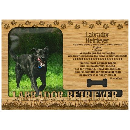 Labrador Retriever Engraved Wood Picture Frame Magnet