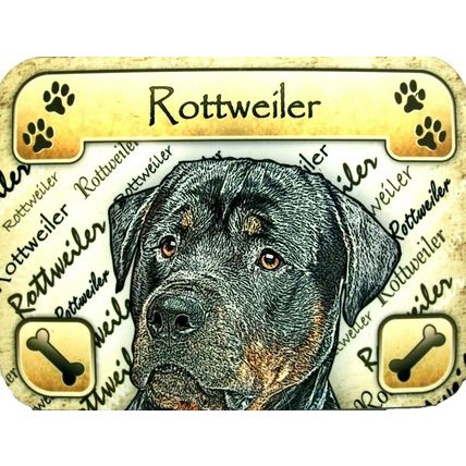Rottweiler Photo Fridge Magnet