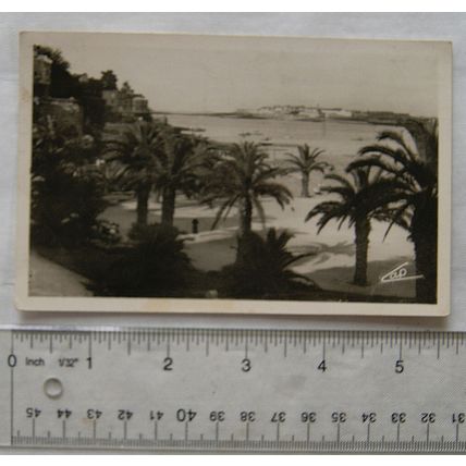 1951 postcard Dinard, La Palmeraie Au fond, Saint Malo, France