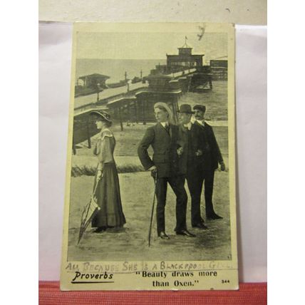 BEAUTY DRAWS MORE THAN OXEN! used antique postcard 1905 pm /