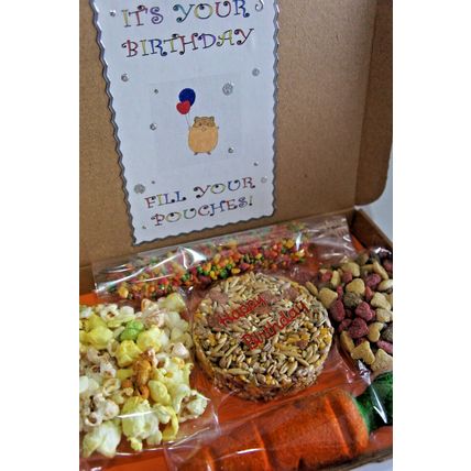 HAMSTER BIRTHDAY BOX DECORATED BOX FILLED WITH TREATS - FILL YOUR POUCHES