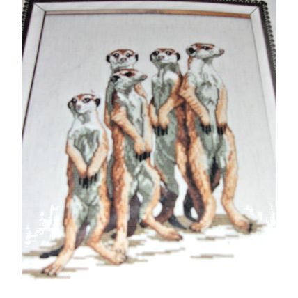 Jennette Crews Designs Counted Cross Stitch "Meerkats"