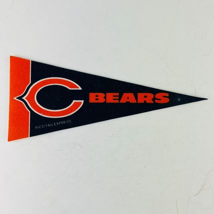 Chicago Bears NFL Football Team Mini Pennant Banner