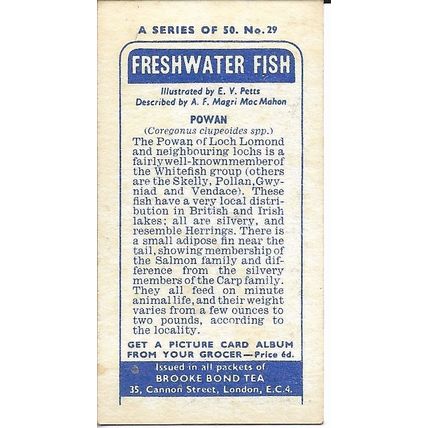 Freshwater Fish 1960 Brooke Bond Tea Card 29 - Powan