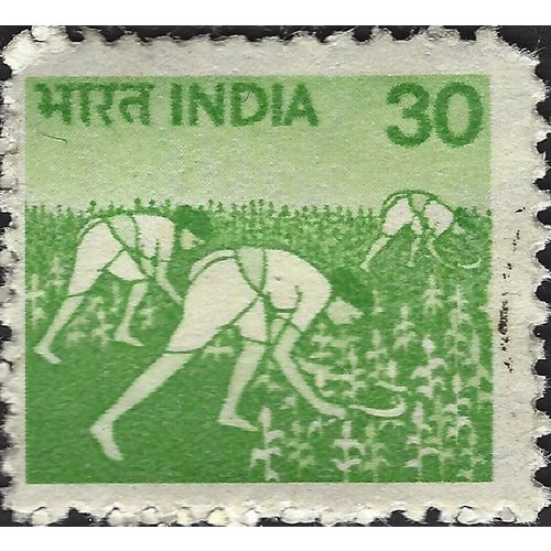 INDIA, Rice Harvest, green 1979, 30p, #3