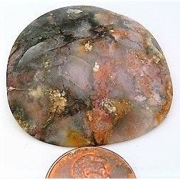 Flower Garden Agate Freeform Gemstone Cabochon 18