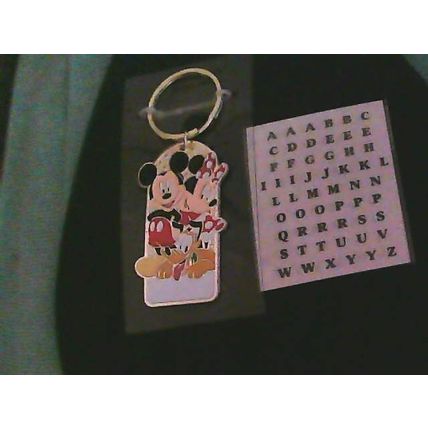 Walt Disneyland Resort Keychain Charm Mickey Minnie Pluto