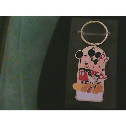 Walt Disneyland Resort Keychain Charm Mickey Minnie Pluto