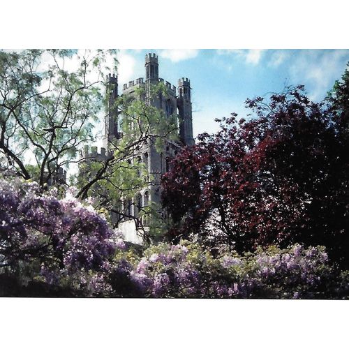 Ely Cathedral in Spring: Photography: Ken Hitch.