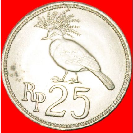 PIGEON: INDONESIA ★ 25 RUPIAH 1971!★LOW START★ NO RESERVE!