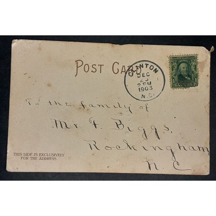 1903 Postcard Christmas Greeting Bird Antique Turn of Century Vertical Post Card