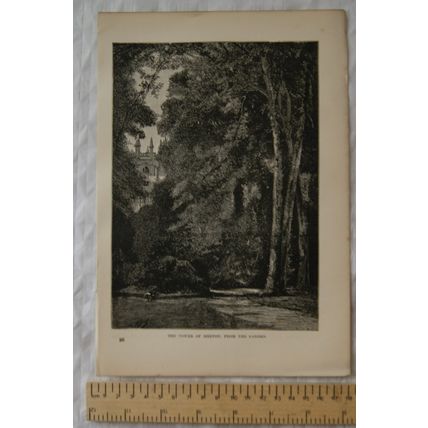 Vintage engraving The Tower of Merton from the Garden