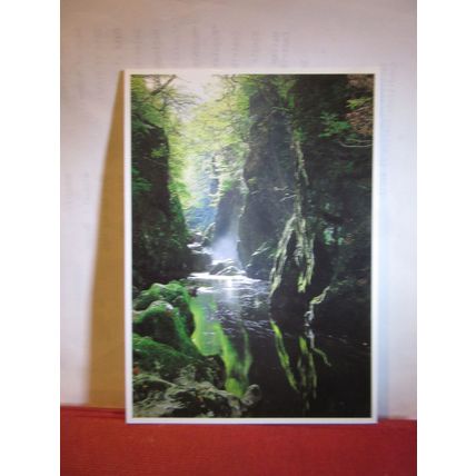 BETWS-Y-COED, THE FAIRY GLEN.. unused postcard by Dave Newbould =