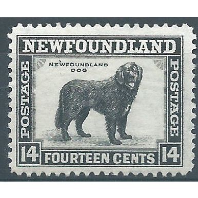 Newfoundland 1932 SG216 14c Black Mounted Mint .. ..