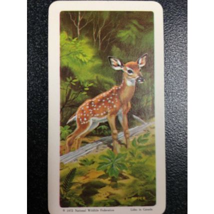 Red Rose Tea Card - Blue Ribbon Animals & Young Series 18 - Set of 18 cards