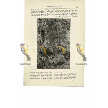 Hedgerow, Surrey, Book Illustration (Print), 1891