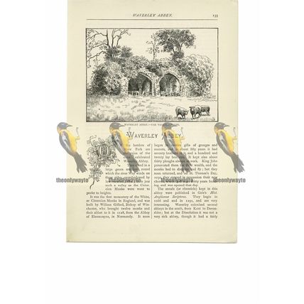 Waverley Abbey, Vaulted Crypt, Surrey, Book Illustration (Print), 1891