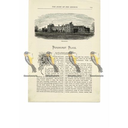 Penshurst Place, Sussex, Book Illustration (Print), 1891