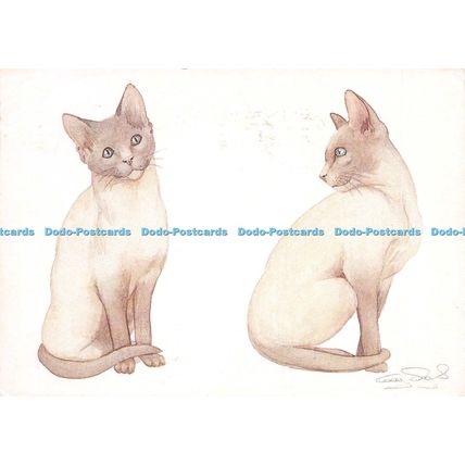D025252 No. 16. Siamese Kittens. Water Colour. Gay Sagar Fenton. Tolcarne Farm H