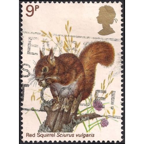 GB, MAMMALS, Red Squirrel, white 1977, 9p, #5