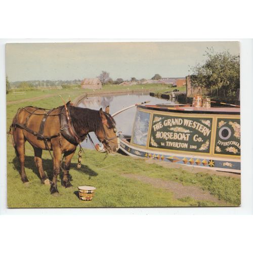 Working Horse Ben with Boat Tivertonian Tiverton Canal Basin Postcard Devon