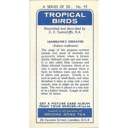 Tropical Birds 1961 Brooke Bond Tea Card 45 - Leadbeater's Cockatoo