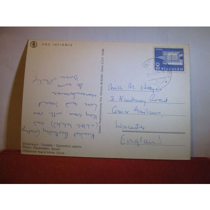 camedrio alpino Swiss used vintage postcard wild alpine flowers #