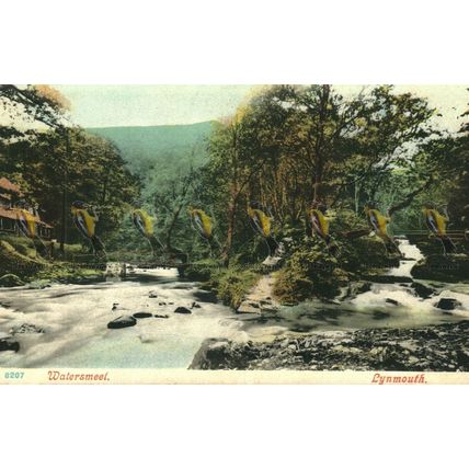 Watersmeet, Lynmouth, Devon, Postcard, 1900s?