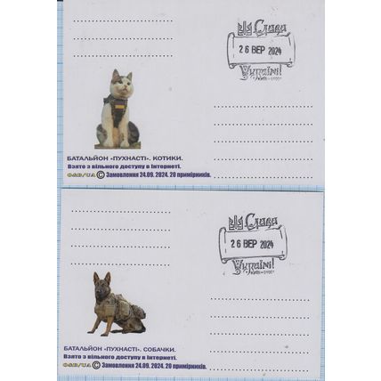UKRAINE Maxi cards Kyiv Battalion "Fluffy" Dogs, Cats. Animals in the war. 2024