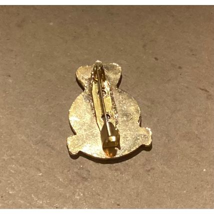 TRAINING COMMAND Royal Air Force - Enamel Badge