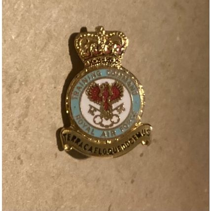 TRAINING COMMAND Royal Air Force - Enamel Badge