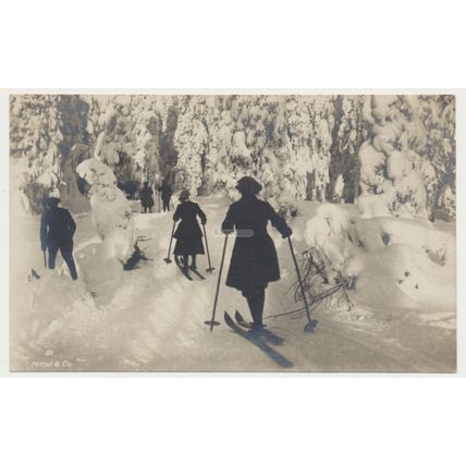 Norway Snow People cross country Skiing early 20th C. unused RPPC Mittet No. 88