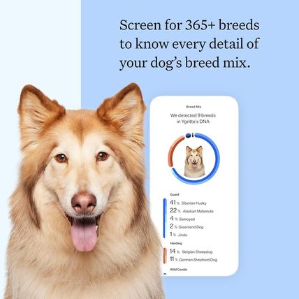 Wisdom Panel Breed Discovery Dog DNA Kit: Most Accurate Dog Breed Identification