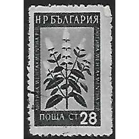 Mi 880: 28 st. slate-green Medicinal Flowers: Peppermint (Mentha pipenta)