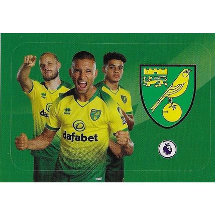 Panini's Premier League Football 2020 Stickers: No. 16 - Norwich City