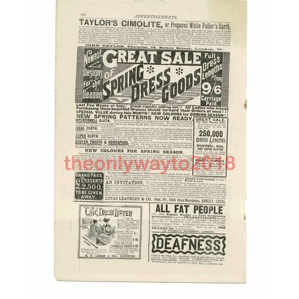 Spring Dress Goods, Advert, Book Illustration (Print), 1892