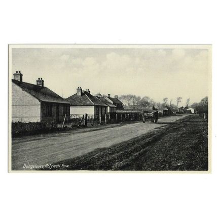 Bungalows, Holywell Row, Mildenhall, Suffolk, Postcard.