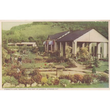 ED 242 SYMONDS YAT - STERRETTS CAFE VERANDA AND PART OF GARDEN. PRINTED POSTCARD
