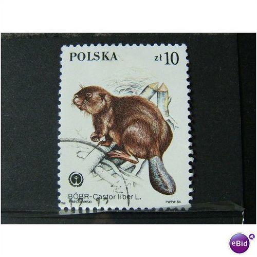 POLAND 1984 SG 2965 USED