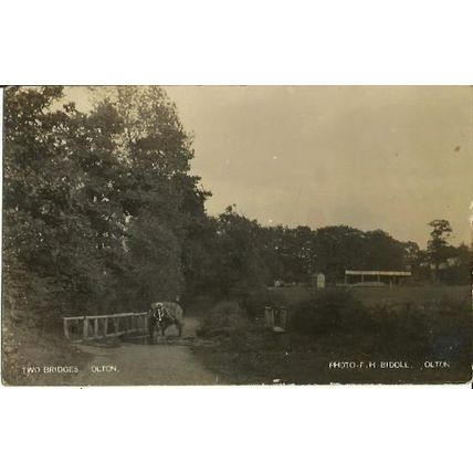 Warwickshire OLTON Two Bridges Postcard (Biddle)