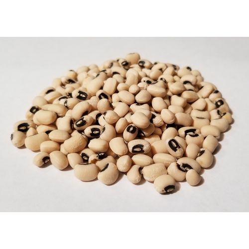 0.500oz California Blackeye Cowpea Seeds Non-GMO