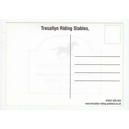 Tresallyn Horse Riding Stables St Merryn Padstow Cornwall Modern Postcard