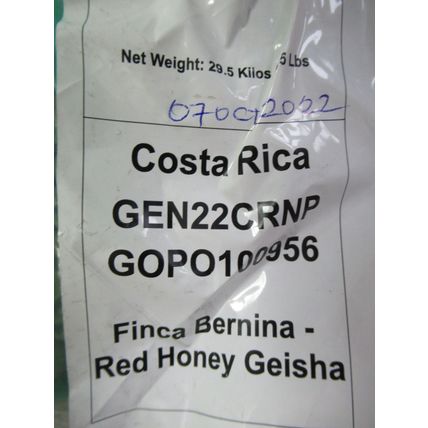 5 LB Green Unroasted Coffee Beans Costa Rica Red Honey GESHA GEISHA MICROLOT '22