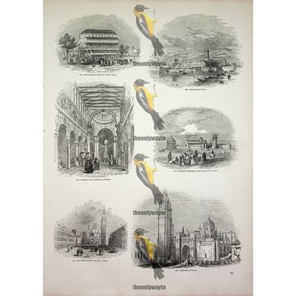 Architecture, Venice, Toledo, Padua, Messina, Illyria, Book Illustration, 1850