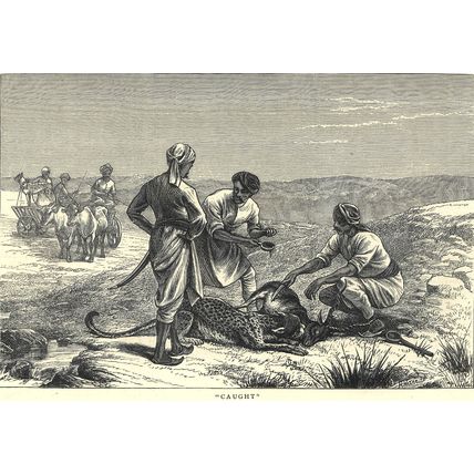 SKETCHES FROM INDIA - ANTELOPE HUNTING 1872 Horace Harral VICTORIAN ENGRAVINGS