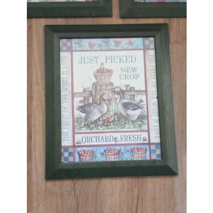 3 Country Farmhouse Kitchen Chicken Geese Rabbit Prints Pictures Green Frames