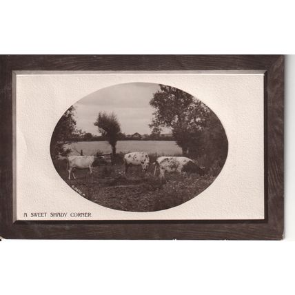 Antique GB Greetings Postcard 1909 - A Sweet Shady Corner