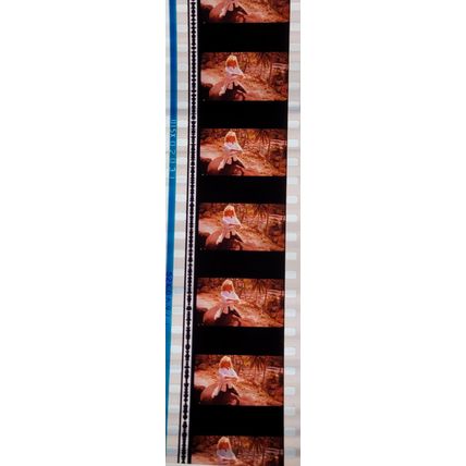 Pk GEB - P - MIX - a 019S . 1 STRIP OF 5 - 35MM FILM CELLS. ( )