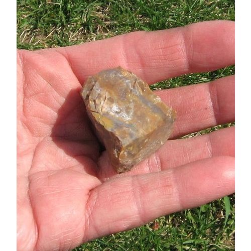 B Petrified Wood Raw Stone 1/5 Inch Metaphysical Meditation Energy Work